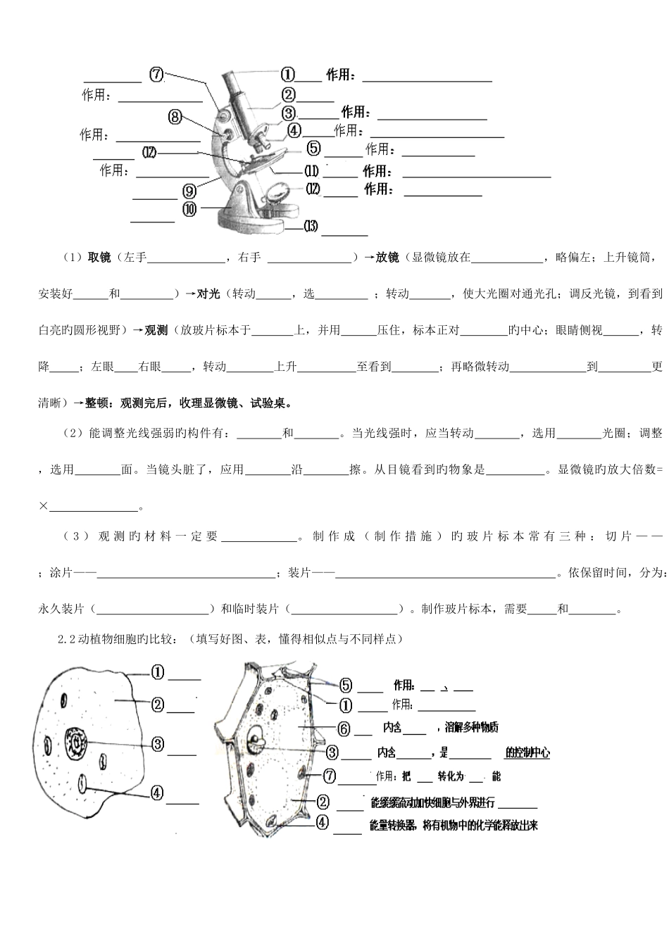 2025年初中生物中考总复习重要知识点图表等_第3页