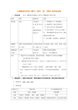 2025年人教版初中化学第十一单元盐化肥知识点总结