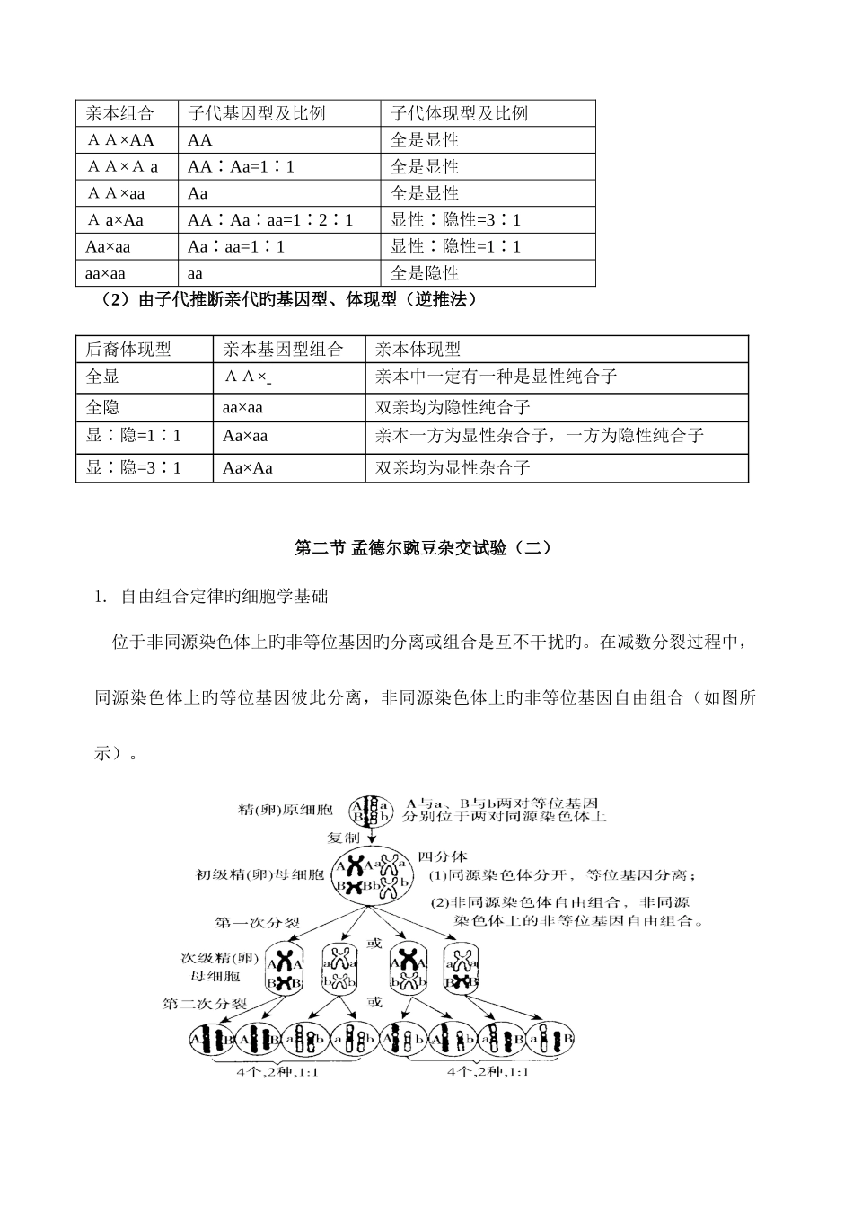 2025年学业水平考试生物复习专题六孟德尔的遗传规律_第2页