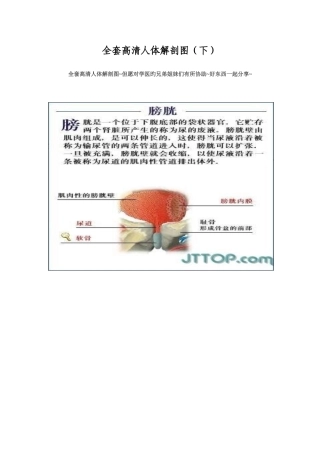 2025年全套高清人体解剖图下