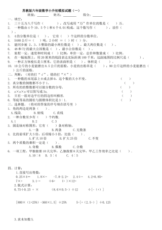 2025年苏教版六年级数学小升初模拟试题