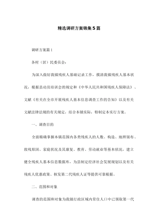 2025年调研方案锦集5篇