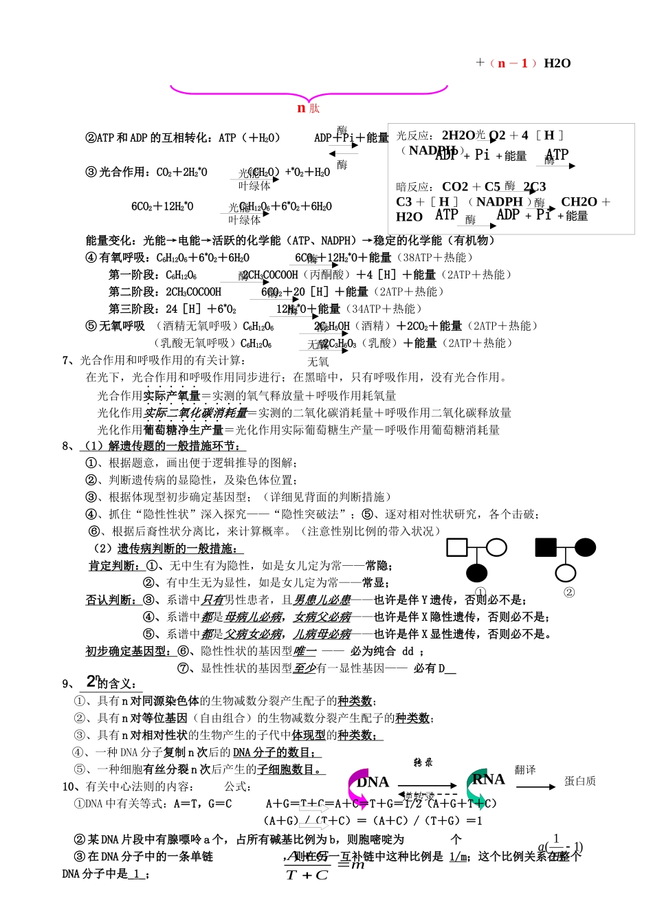 2025年高中生物重要规律性关系及公式归纳_第2页