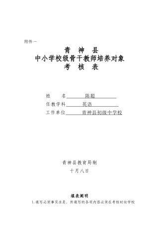 2025年校级骨干教师考核表