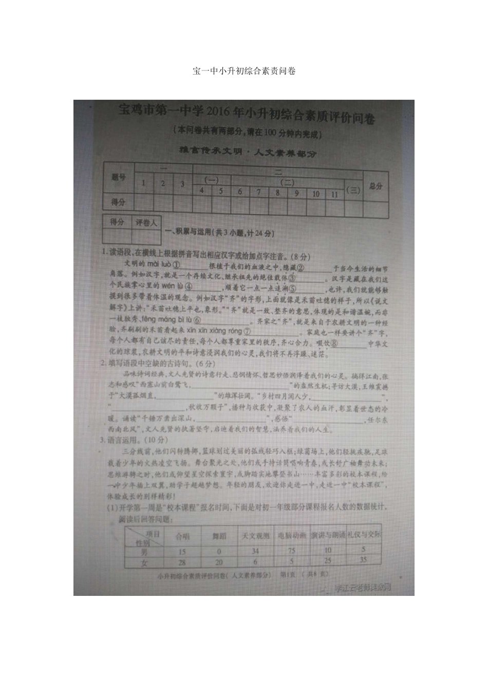 2025年宝一中小升初综合素质问卷_第1页