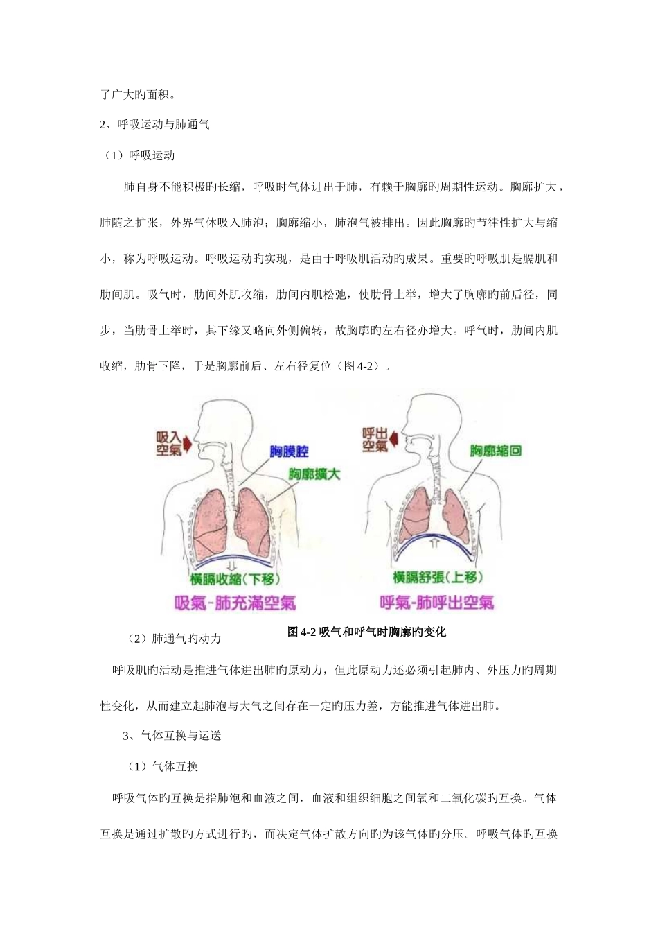2025年高中生物奥林匹克竞赛辅导呼吸作用习题_第2页