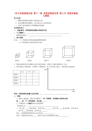 2025年九年级物理全册第十一章多彩的物质世界第三节密度学案新人教版