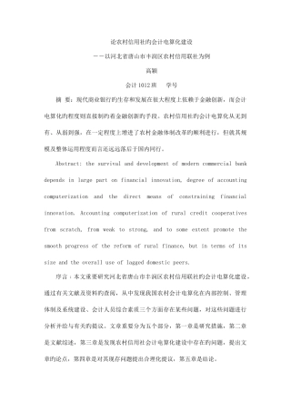 2025年农村信用社会计电算化建设