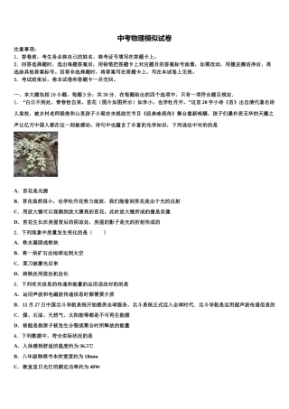 2025年湘教版湖南省岳阳市君山区毕业升学考试模拟卷物理卷含解析
