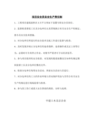 2025年项目安全员安全生产责任制