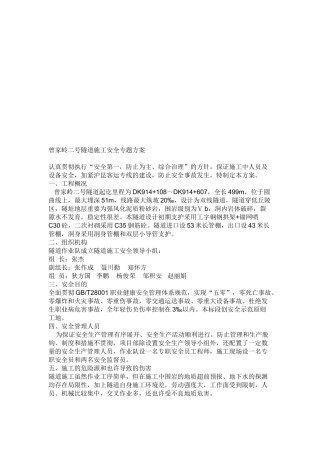 2025年一个全套隧道安全施工专项方案教案