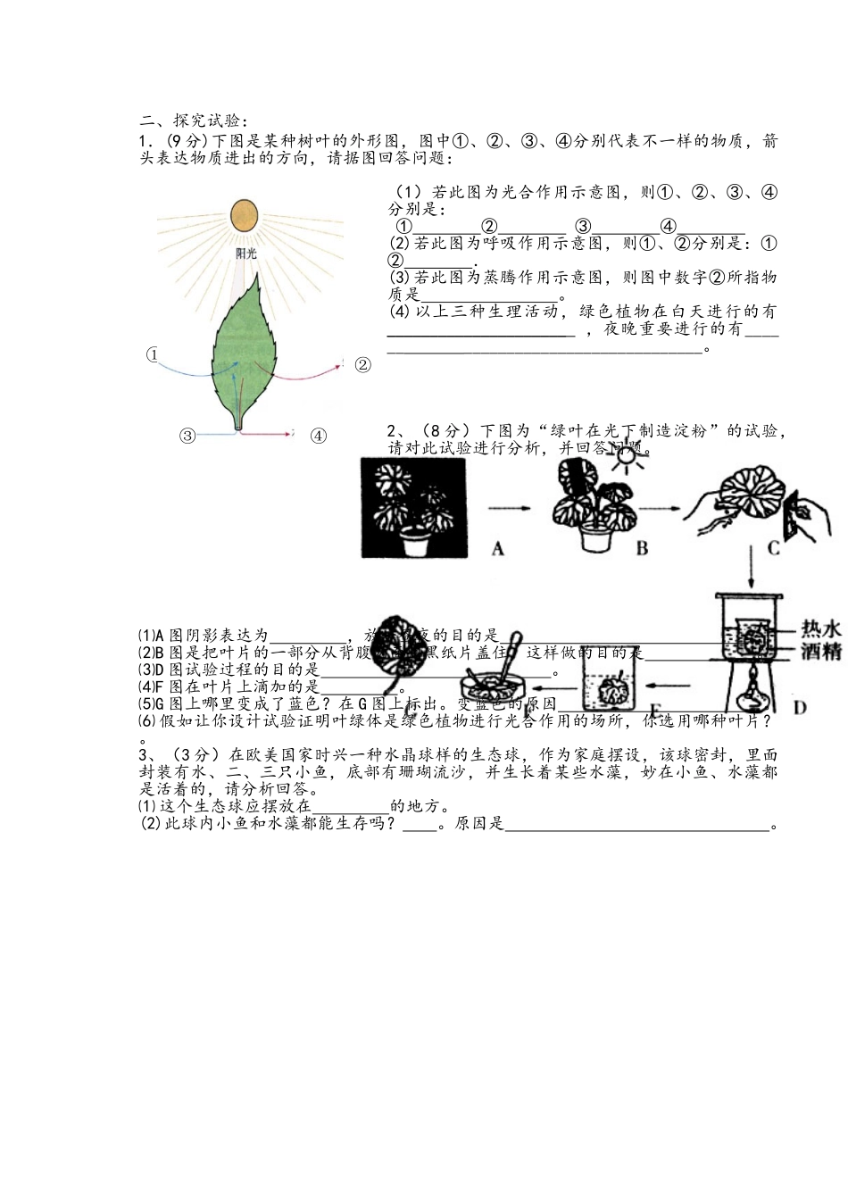 2025年七年级生物上册知识竞赛试题_第3页