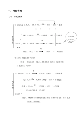 2025年光合与呼吸知识点总结