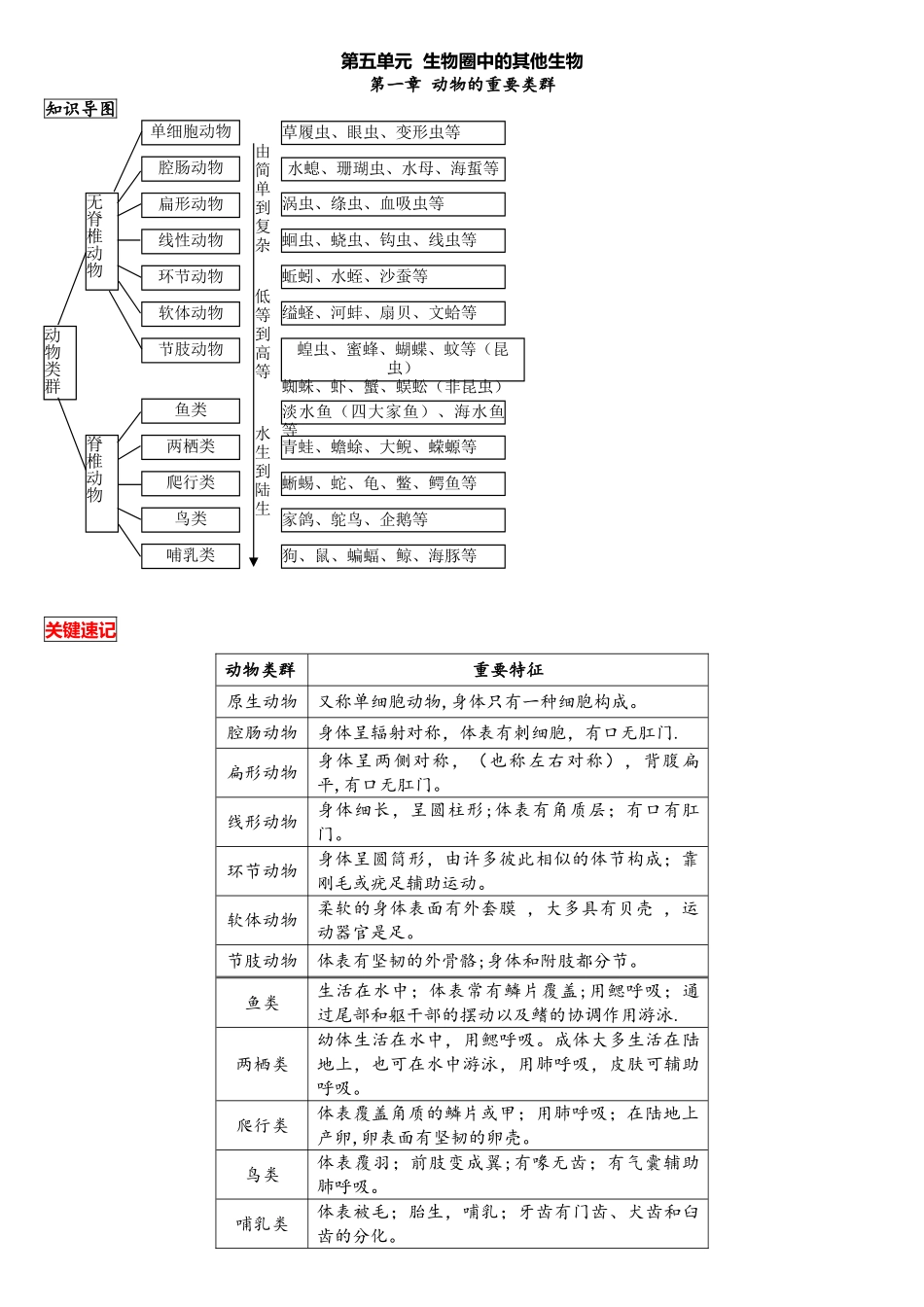2025年八年级上册生物中考考点精华识记思维导图版_第1页