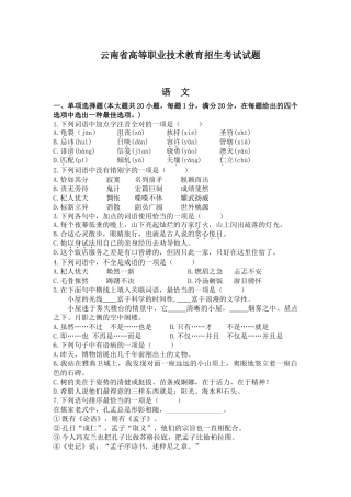 2025年云南省高等职业技术教育招生考试试题语文