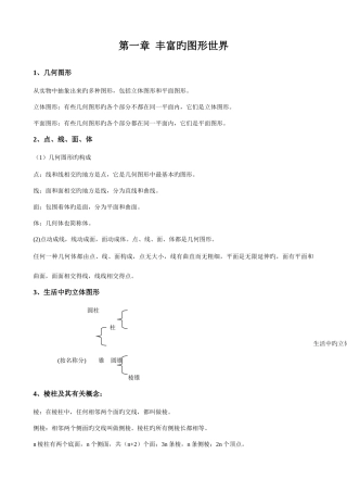 2025年丰富的图形世界知识点总结
