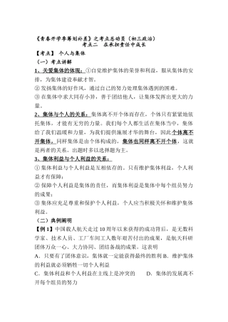 2025年九年级政治下册考点总动员复习题