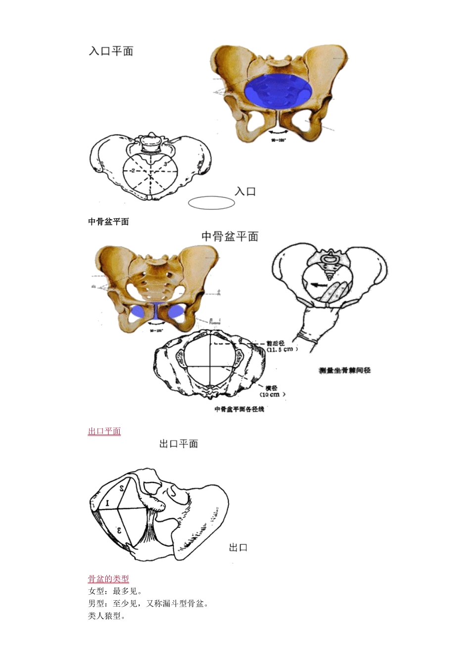 2025年中西医结合执业医师《妇科学》冲刺课程串讲讲义—教材讲义_第2页
