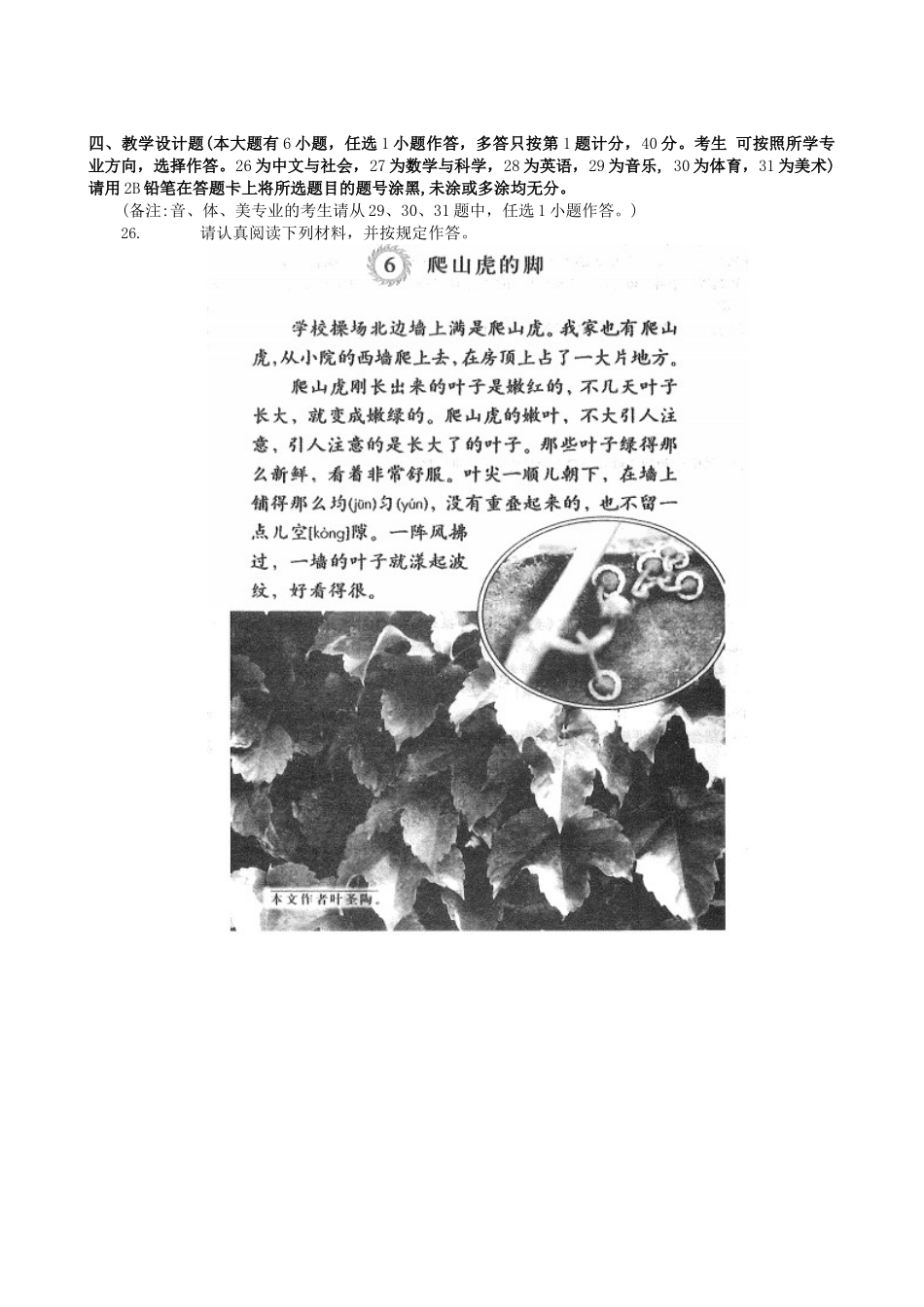 2025年下半年小学教师资格考试知识与能力真题及答案解析_第3页