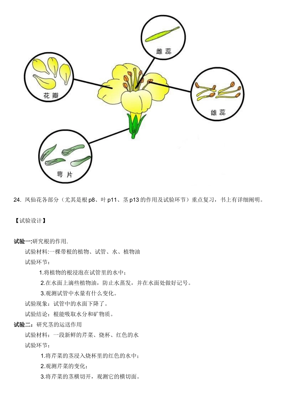 2025年三年级下册科学每个单元知识点整理电子教案_第3页