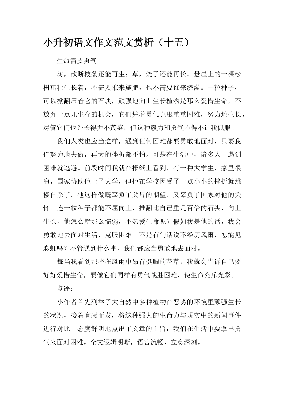 2025年小升初语文作文范文赏析_第1页