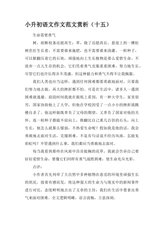 2025年小升初语文作文范文赏析