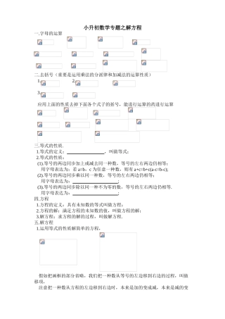 2025年小升初数学专题之解方程练习
