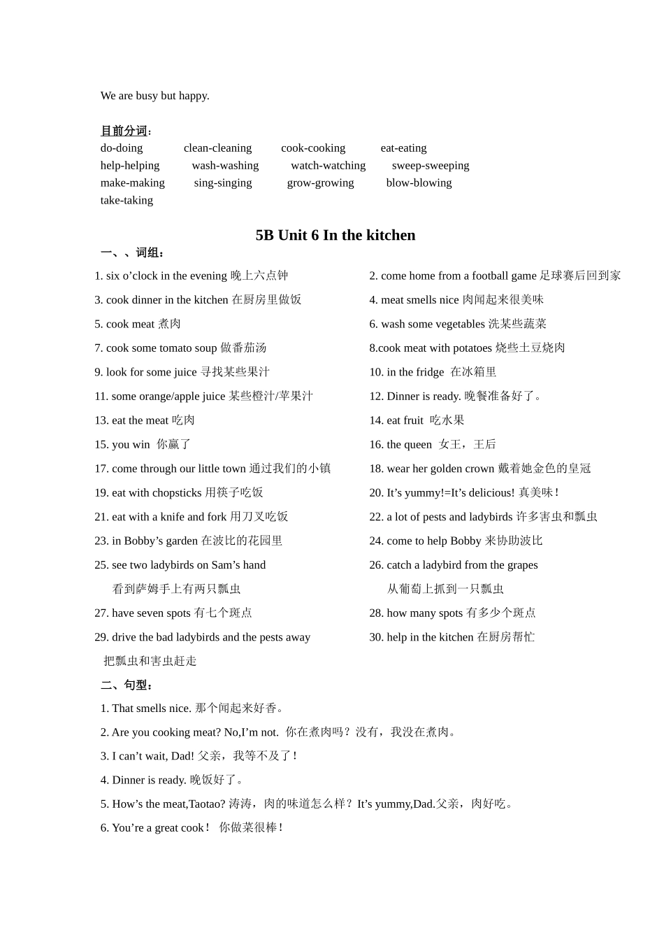 2025年新5b58单元知识点复习_第2页