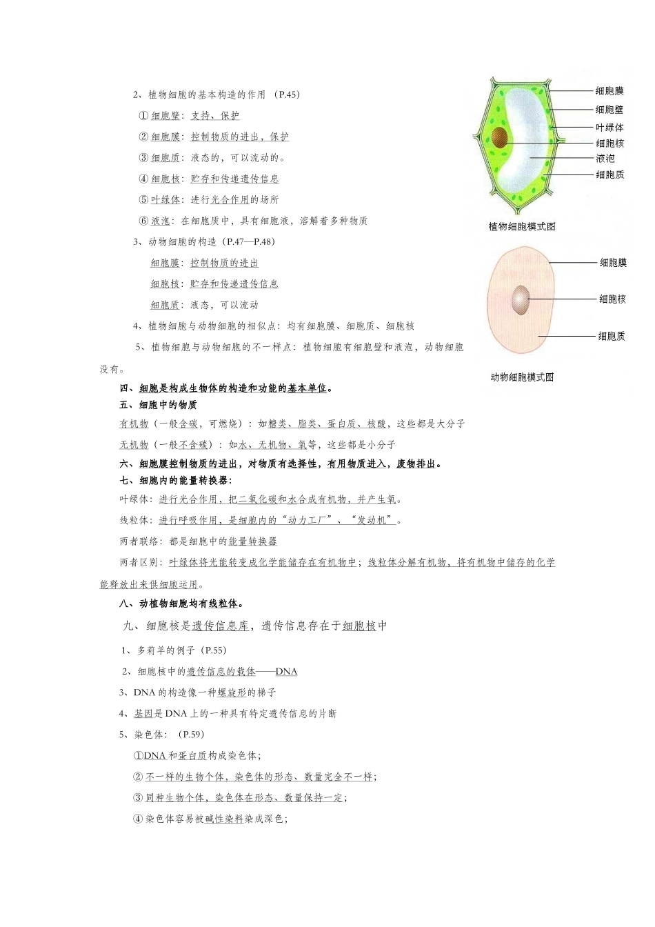 2025年七年级上册生物第二单元重要知识点_第2页