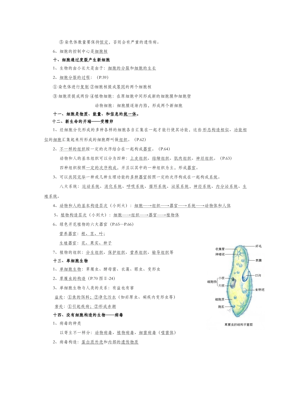 2025年七年级上册生物第二单元重要知识点_第3页