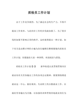 2025年质检员工作计划