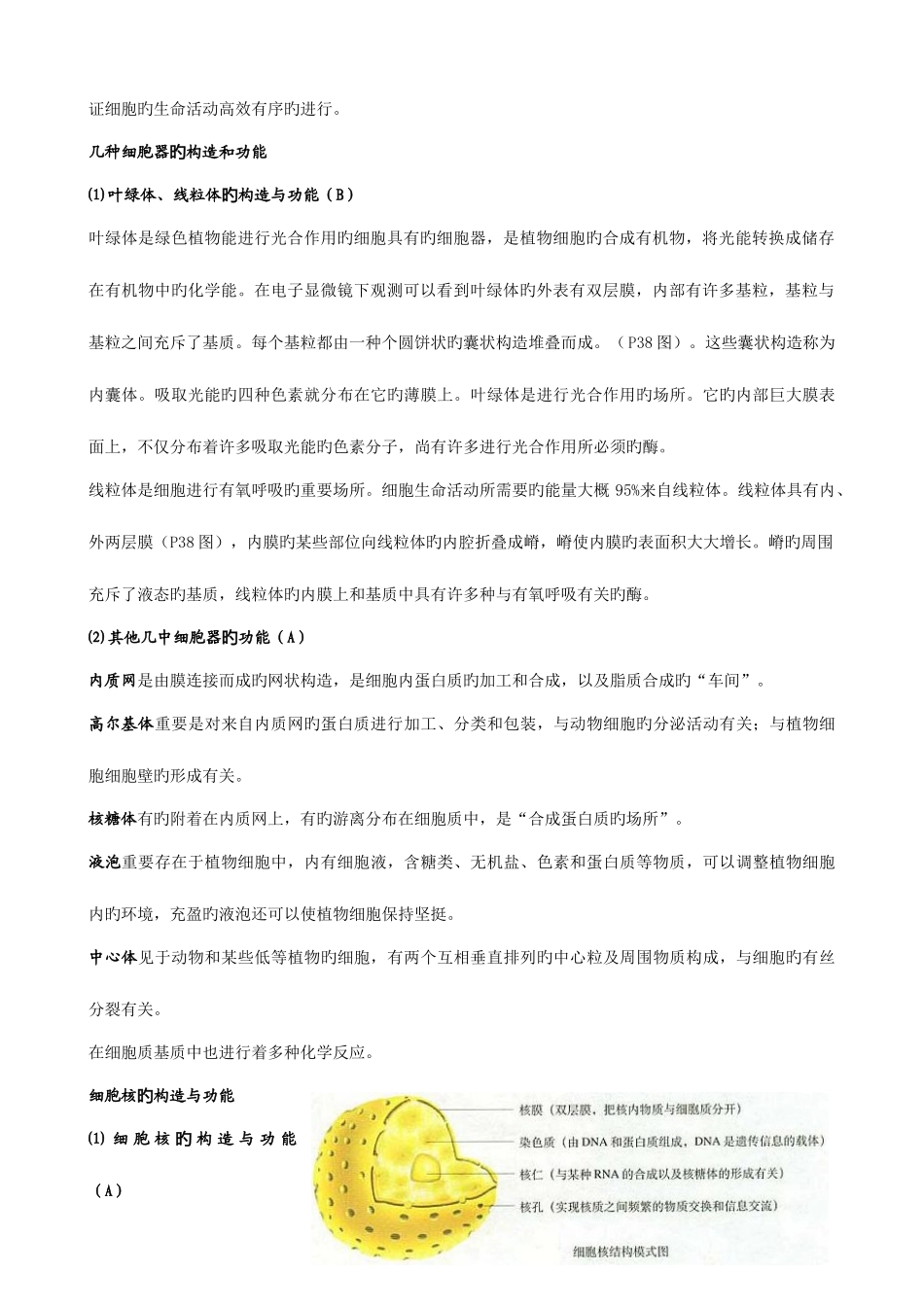 2025年学业水平测试生物知识梳理细胞的结构_第2页