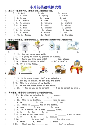 2025年小升初英语模拟试卷