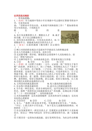 2025年九年级政治下册知识点同步训练题