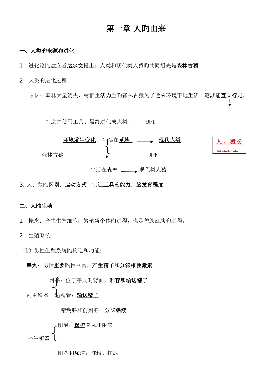 2025年七年级生物下知识点总结完整完美_第1页
