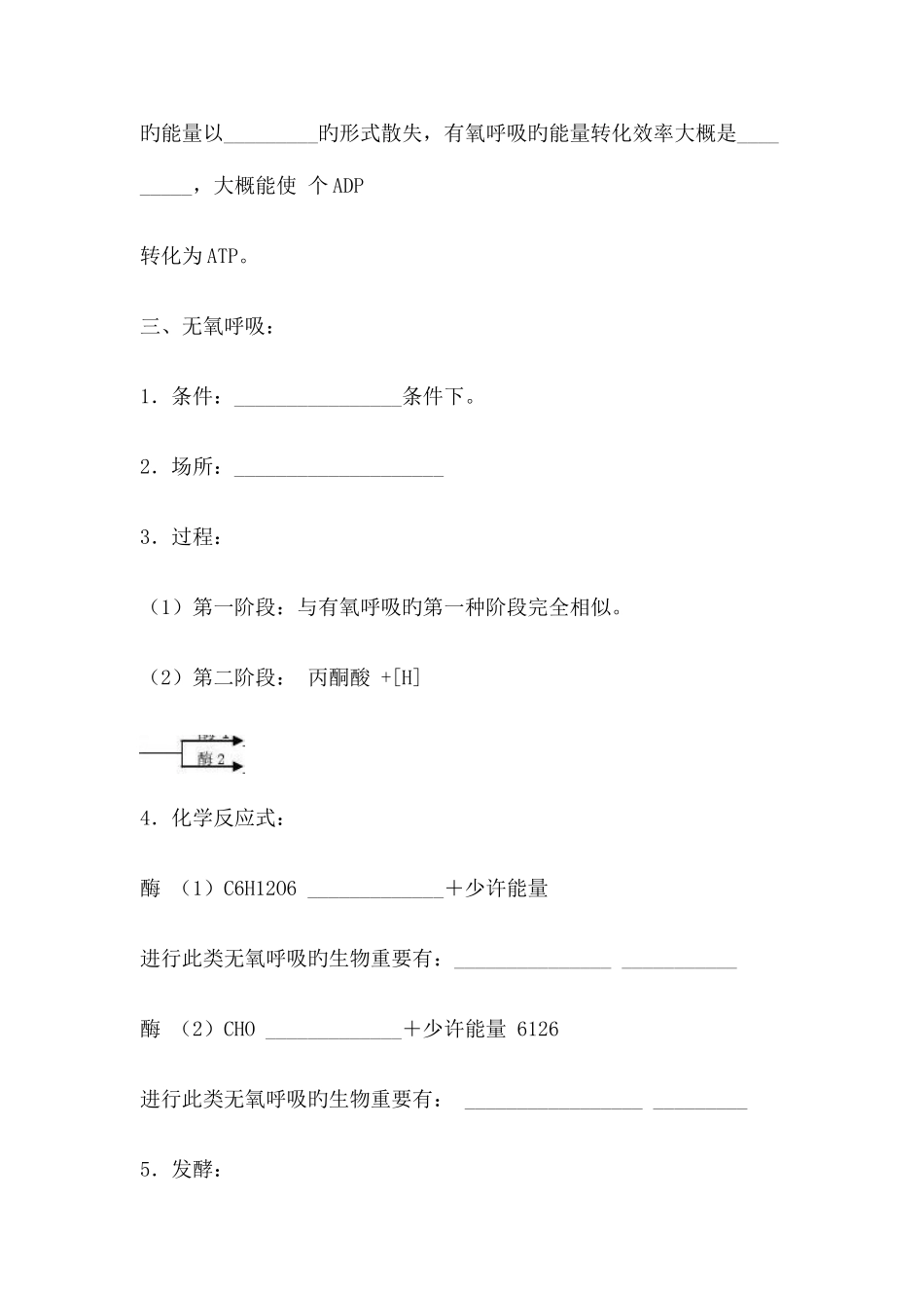 2025年呼吸作用知识点_第3页