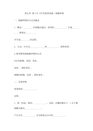 2025年呼吸作用知识点