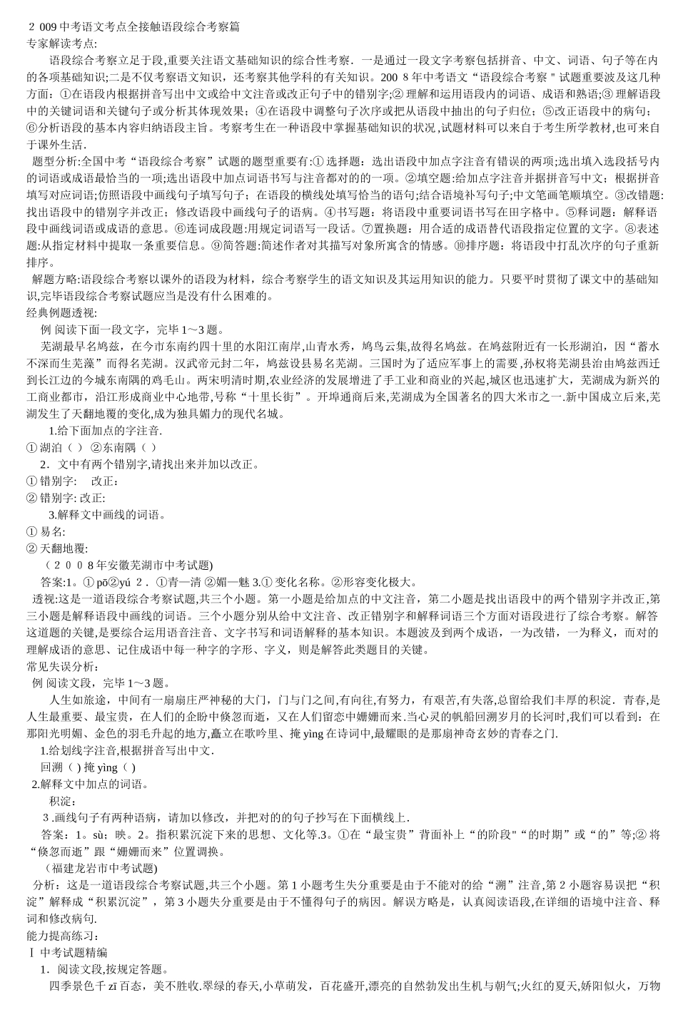 2025年中考语文考点全接触语段综合考查篇5范本_第1页