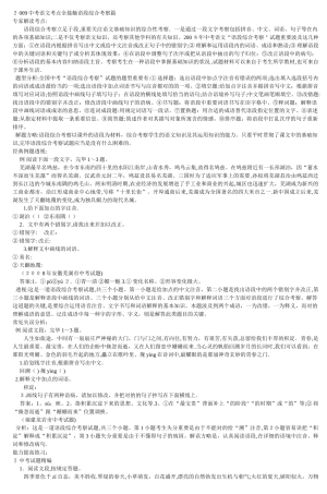 2025年中考语文考点全接触语段综合考查篇5范本
