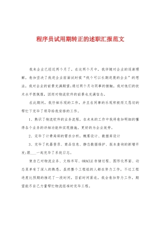 2025年程序员试用期转正的述职报告