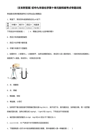 2025年初中九年级化学第十单元酸和碱考点专题训练
