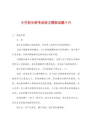 2025年小升初分班考试语文模拟试题十六