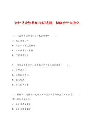 2025年会计从业资格证考试试题初级会计电算化