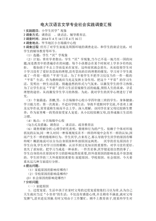 2025年电大汉语言文学专业社会实践调查报告