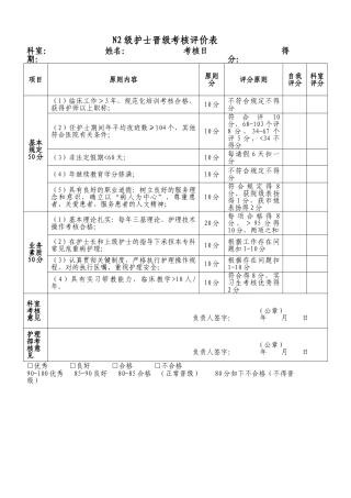 2025年N2护士晋级考评表