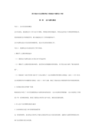 2025年会计从业资格考试初级会计电算化串讲