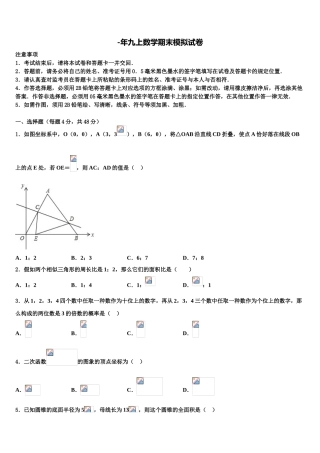 2025年福建省泉州市泉州实验中学数学九年级第一学期期末学业水平测试模拟试题含解析