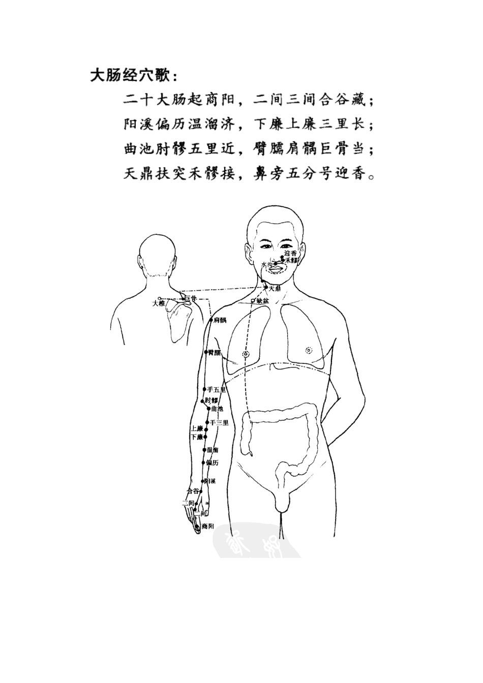 2025年中医执业医师资格考试针灸学腧穴图_第2页