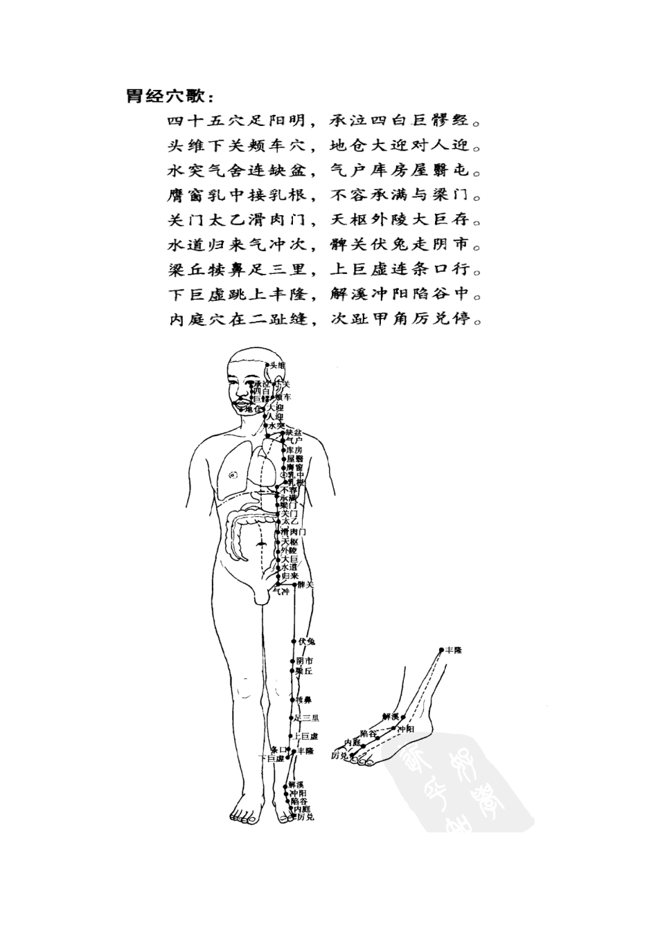 2025年中医执业医师资格考试针灸学腧穴图_第3页