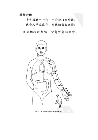 2025年中医执业医师资格考试针灸学腧穴图